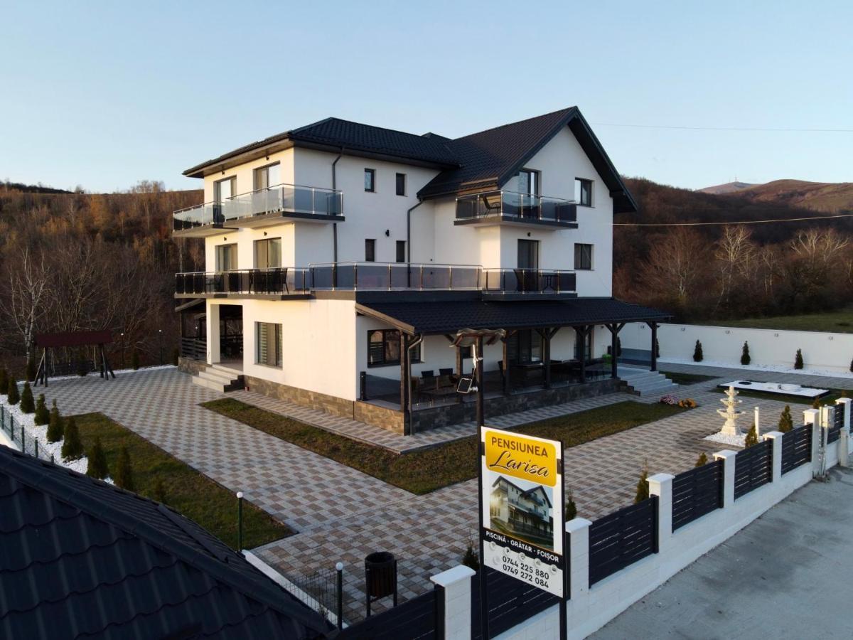 Casa De Vacanta Larisa Novaci-Străini Exteriér fotografie